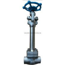 GB / API Low Temperature Steel / Lcb Gate Valve Class800 3/4 &#39;&#39;